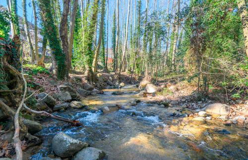 Apartaments Rural Montseny - Foto 91