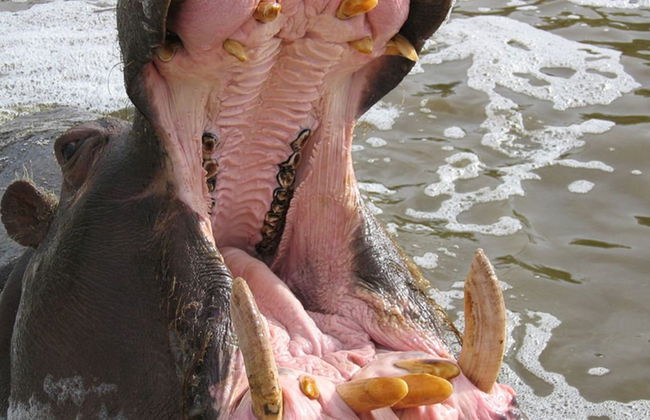 Parque Temático Oasys MiniHollywood - Foto 8