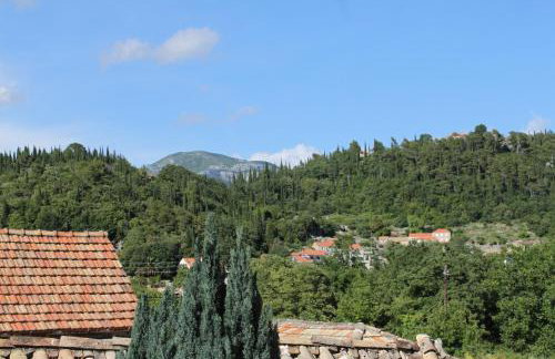 Apartments with a parking space Popovici, Dubrovnik - 8694 - Foto 22