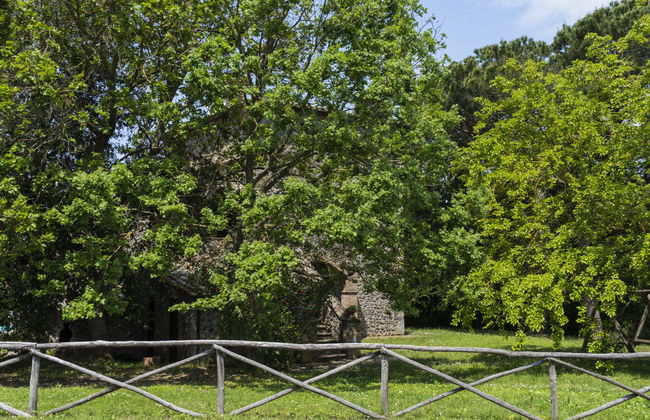 La Capraccia - Foto 23