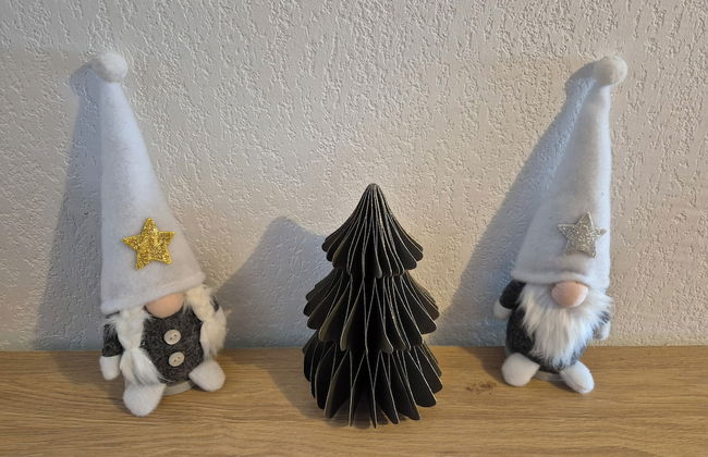 Chez Charles | Vallorcine Viachamonix - Photo 15