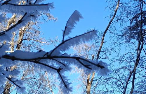 Ferienhaus Mayr - Ferienwohnung Bergblick - Foto 35