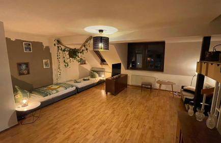 Großzügige Maisonette Wohnung über den Dächern Leipzigs - Foto 1