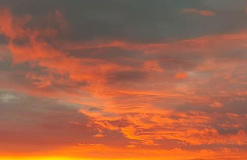 Amazingly quiet and peaceful studio getaway. - Foto 14