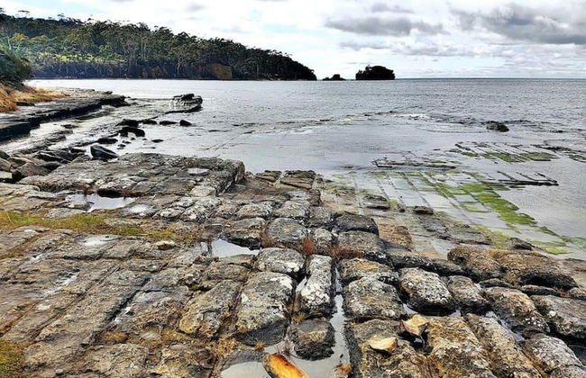 Eaglehawk Rainforest Retreat - Foto 13