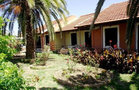 SEAHORSE healing effect - Foto 20