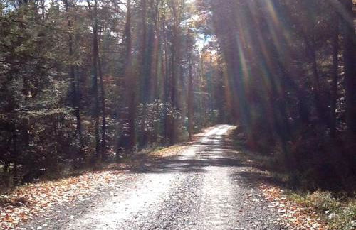 Charming Cottage Rental with Antique Decor in Narrowsburg, New York - Foto 18