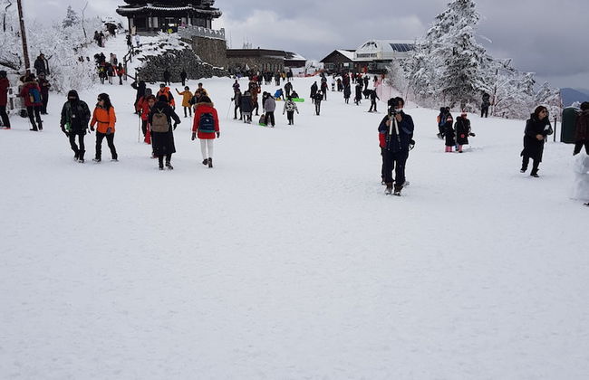 Muju Naos Pension - Photo 36