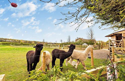 2 Bed in Cockermouth 94787 - Foto 24