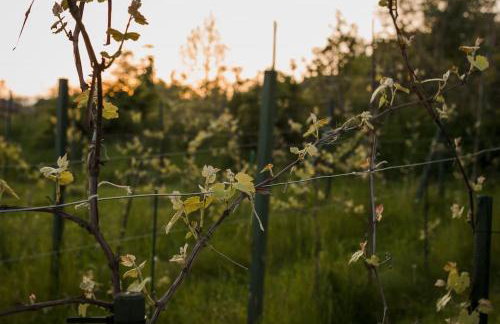 Domki na Górniej Łące - Domek Słowik - Foto 13