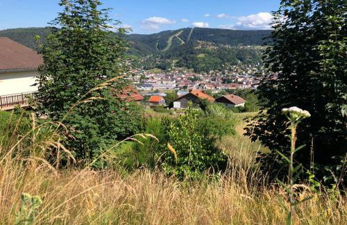 Gerardmer : Residence "l'eau vive" - Foto 18