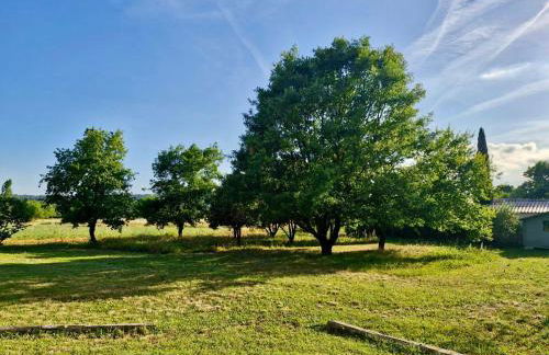 La Bastideta, - Foto 3