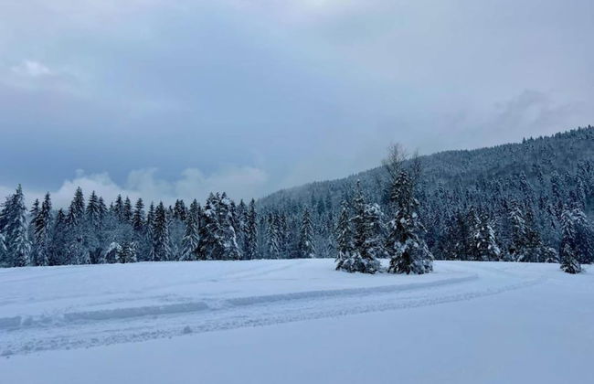 Chalet in La Bresse With Valley Views - Photo 25
