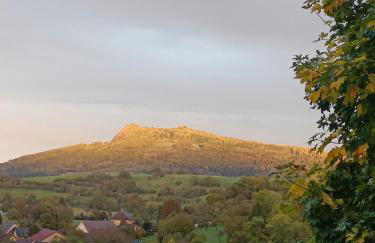 Hegauzauber - Foto 33