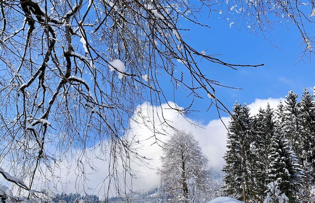 Der Ulmenhof - Foto 45