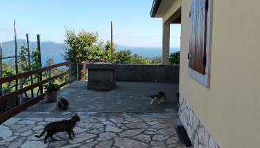 Vacation home Marinići - Foto 4