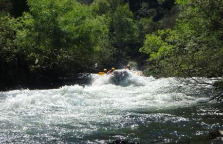 Casa do Tanque T2 - Foto 22