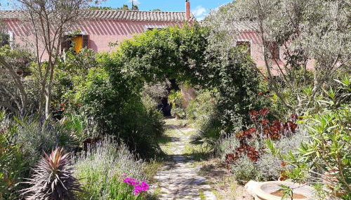 La Fattoria Delle Tartarughe - Foto 2, Garden, Garden view