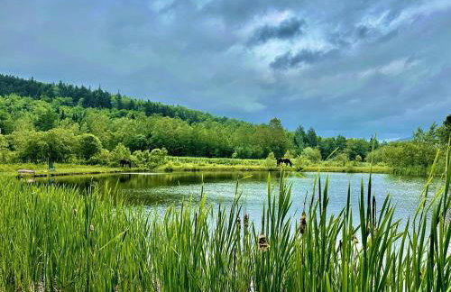 Cozy Off-Grid Cabin with Breathtaking Serene Views for a Peaceful Getaway Surrounded by Nature in Barton, Vermont - Foto 19