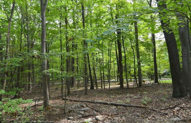 Haven Home - Foto 24