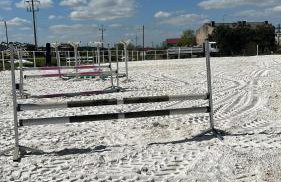 Vigor Horses - Foto 63