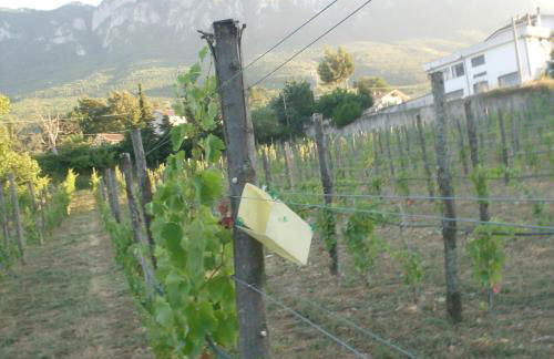 il sentiero del riccio - Foto 21