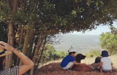 Casa da Moiroa - Foto 48