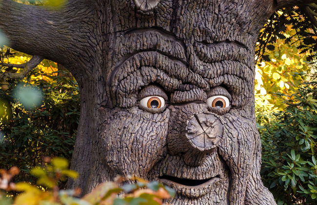 Billet pour le parc d'attractions Efteling - Photo 12