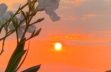 Mani Seaside Home - Foto 24