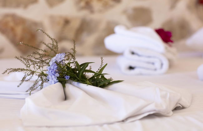 Anemos Studio - Foto 6