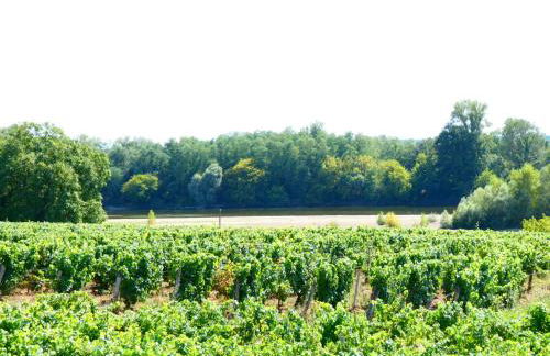 Chez voisine - entre la Loire et le vignoble - Foto 12