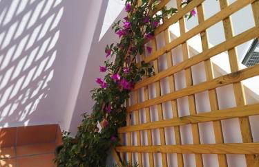 Apartamento Plumaria - Photo 23