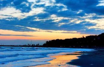 Timone d’oro - Foto 31