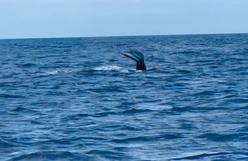 Oahu's Best Kept Secret - Photo 51