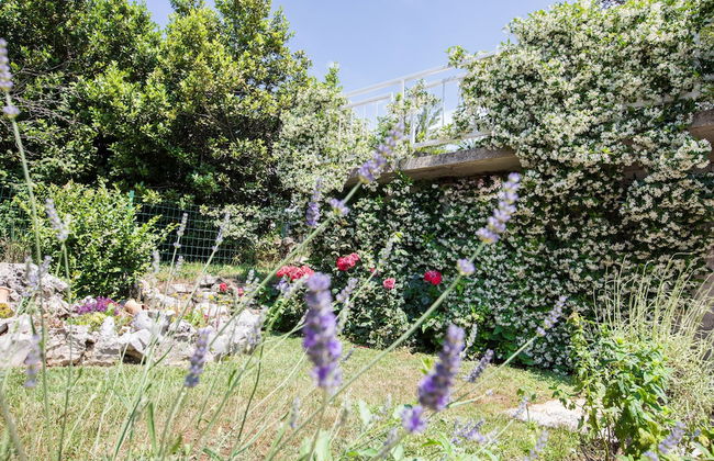 Villa Luce Konavoka - Foto 33