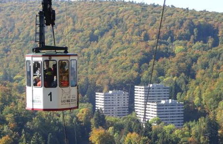 Am Wäldchen - Foto 15