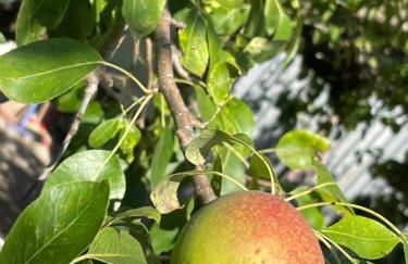 A Casa di Ale - Foto 33