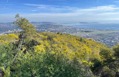 Villa Ormarine, vue exceptionnelle sur la baie de Cannes et le Mercantour - Foto 60