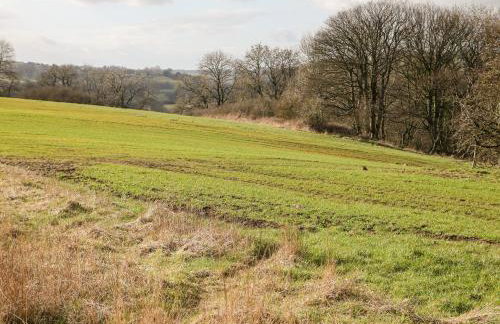 Cambridge Lodge - Photo 45