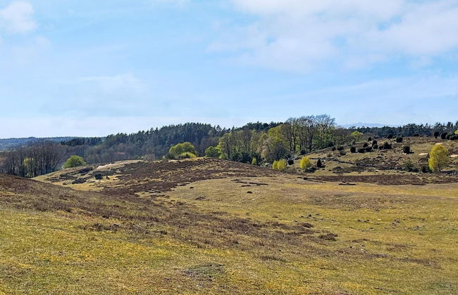 2 Person Holiday Home in Brosarp-by Traum - Foto 9