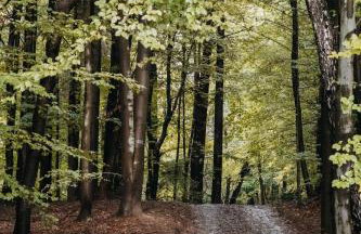 Okno na Beskidy - Foto 44