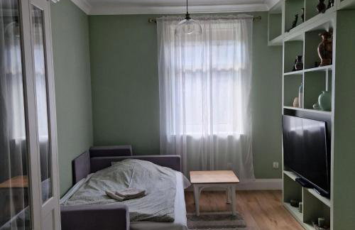 Stara Szkola - Wielki Medromierz 59 - Foto 62