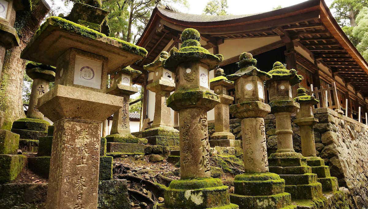 Visita guiada por Nara - Foto 2