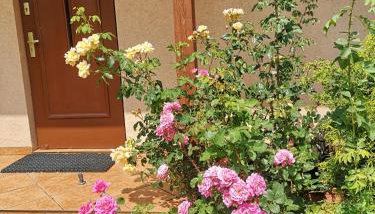 Ustroń Dom Aneta - Foto 2