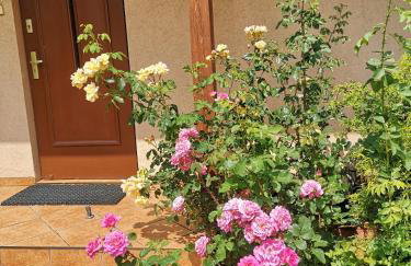 Ustroń Dom Aneta - Foto 2