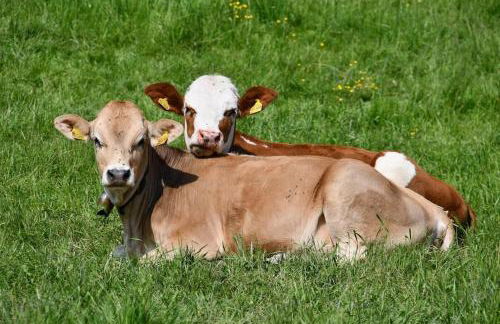 Neue 2 Zimmer FeWo im Murnauer Moos - Foto 19