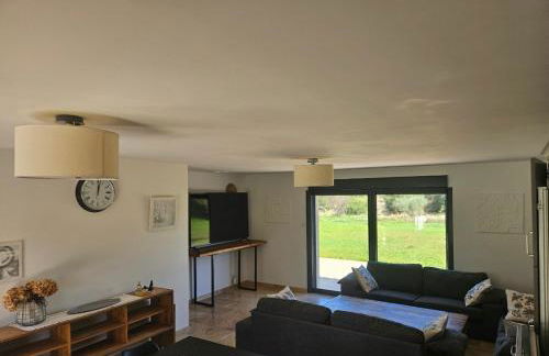 Les oliviers - Foto 10