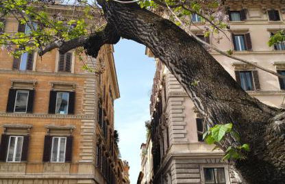 Vatican near Sweet Home Terrace - Foto 1