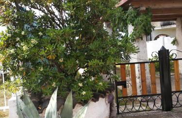 Alimede al Circeo - Foto 78