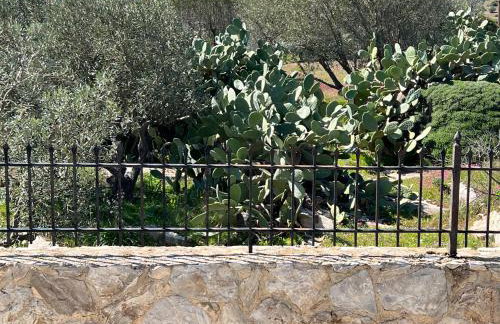 Villa Maxima Lavrio - Foto 57